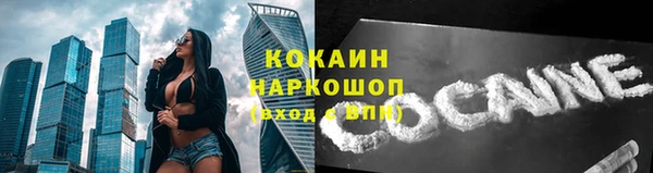 стафф Аркадак